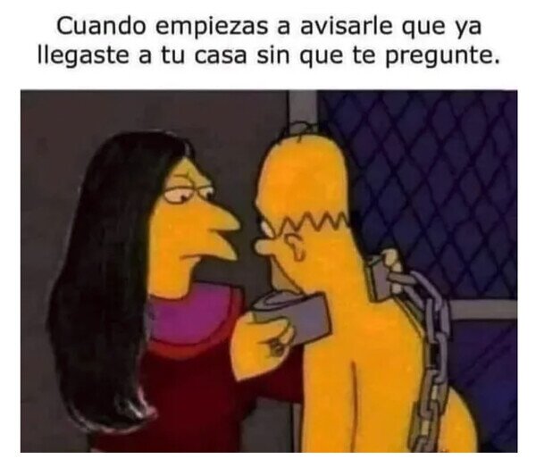 Meme_otros - Me estoy colocando la correa