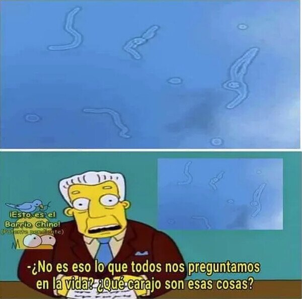 Meme_otros - Tú también las ves