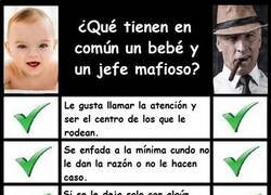 Enlace a Más parecidos de lo que podrías imaginar...