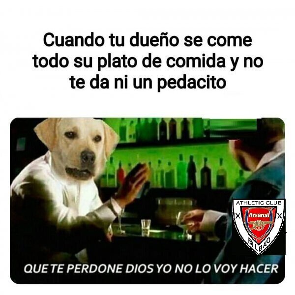Meme_otros - Debería estar penado por ley hacerle esto a un perrete