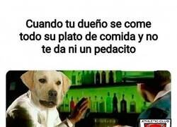 Enlace a Debería estar penado por ley hacerle esto a un perrete