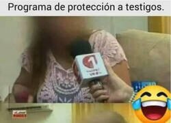 Enlace a No protegió demasiado