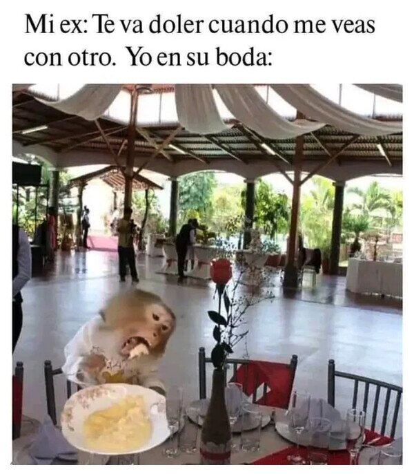 Meme_otros - Habrá que aprovechar