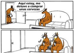Enlace a Cuando un canguro trae cervezas