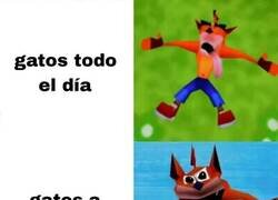 Enlace a Activos para no dejar dormir