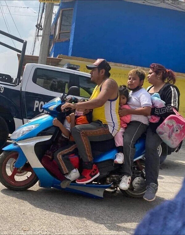 moto,familia,niños,seguridad,6,wtf