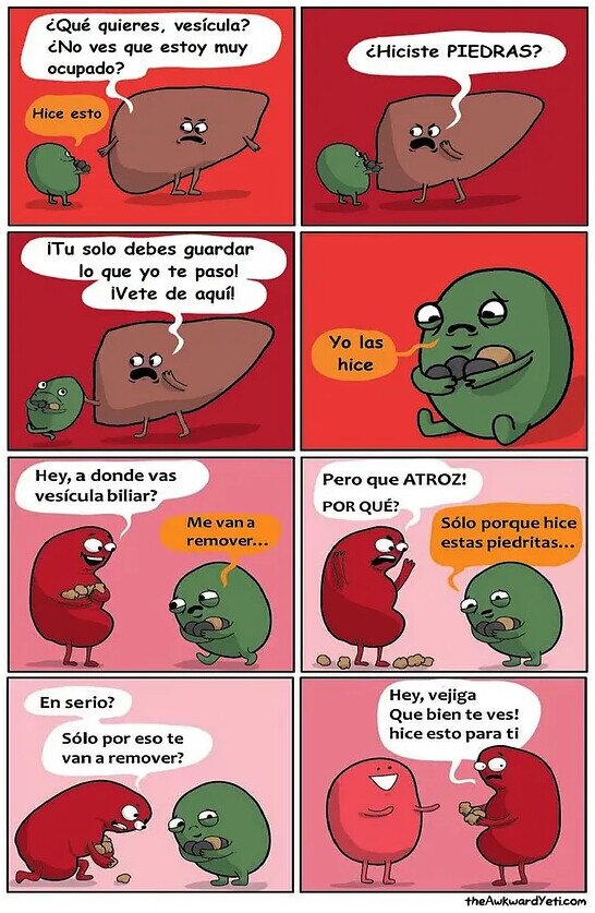 Meme_otros - La vesícula tenía un amigo