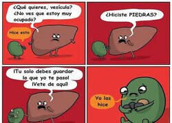 Enlace a La vesícula tenía un amigo