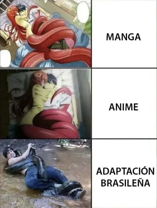 Meme_otros - En algún lugar de Brasil