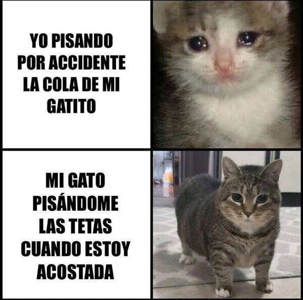 Otros - Al él no le sabe tan mal