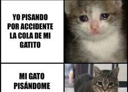 Enlace a Al él no le sabe tan mal