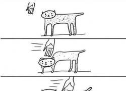 Enlace a Simplemente gatos