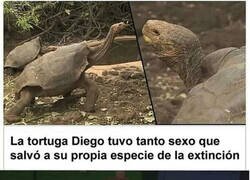 Enlace a Diego es un héroe