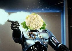 Enlace a La tontería del día