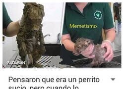 Enlace a Noticia de impacto