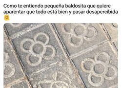 Enlace a Yo podría ser esta baldosa