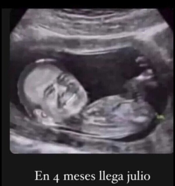 Meme_otros - Se está gestando