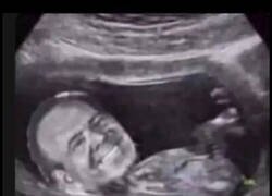 Enlace a Se está gestando