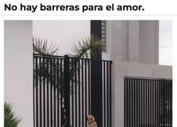 Enlace a Nada puede separarles