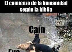 Enlace a Más o menos fue así