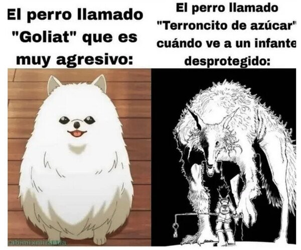 perros,peligro,niños,nombre