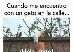 Enlace a Saludo obligado