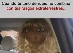 Enlace a Así es como me veo