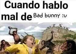 Enlace a Los simios se me echan encima