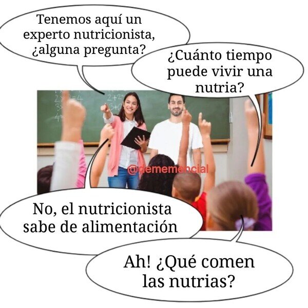 Meme_otros - No es un experto en nutrias