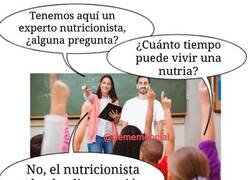 Enlace a No es un experto en nutrias