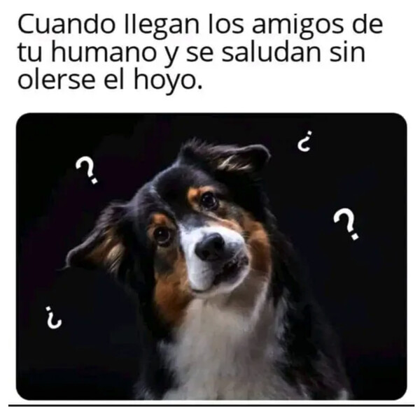 Otros - Qué saludo más raro...