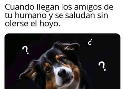 Enlace a Qué saludo más raro...