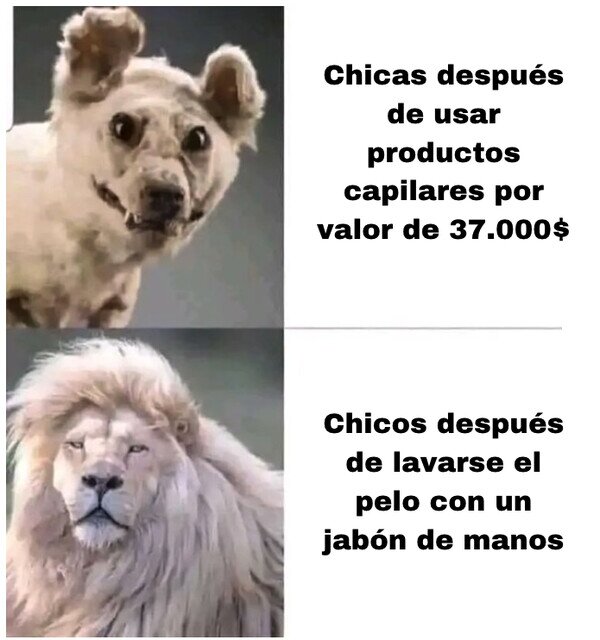 Meme_otros - Está pasando