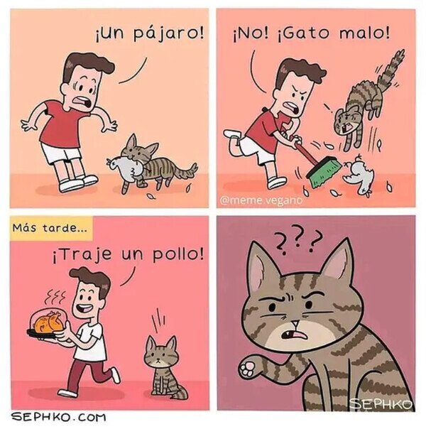 Meme_otros - No debe entender nada