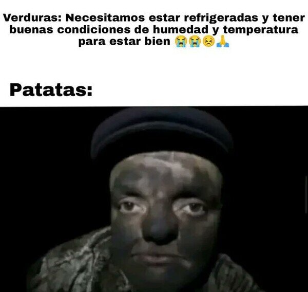 Meme_otros - Las patatas subsisten a cualquier circunstancia
