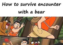 Enlace a Cómo sobrevivir al encuentro con un oso pardo