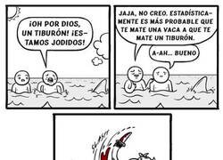 Enlace a La estadística no falla