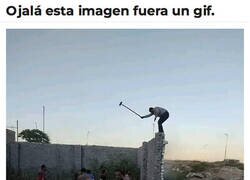 Enlace a Quiero saber qué pasa después