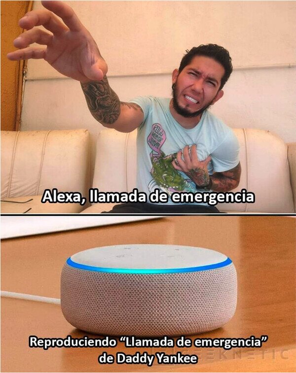 Meme_otros - ¡No, Alexa, nooo!
