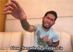 Enlace a ¡No, Alexa, nooo!