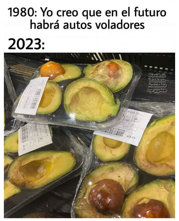 Meme_otros - El futuro son aguacates ya cortados