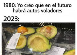 Enlace a El futuro son aguacates ya cortados