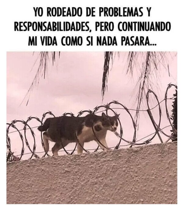 Meme_otros - Hay que seguir adelante