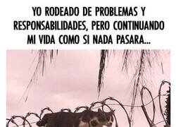 Enlace a Hay que seguir adelante