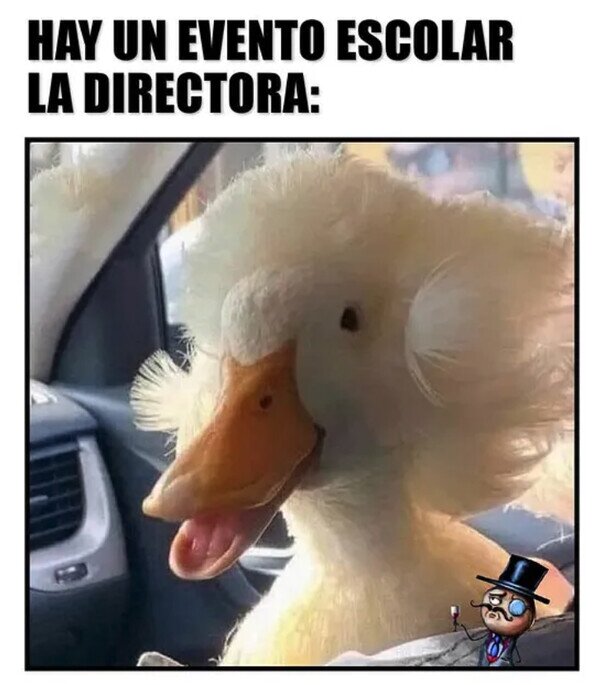 Meme_otros - El pato supo captar la esencia de ese peinado