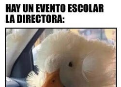 Enlace a El pato supo captar la esencia de ese peinado