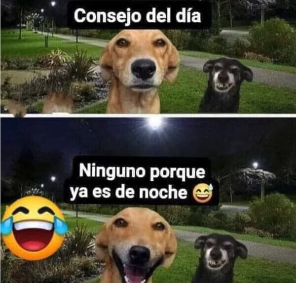 Meme_otros - Ahora ya nada