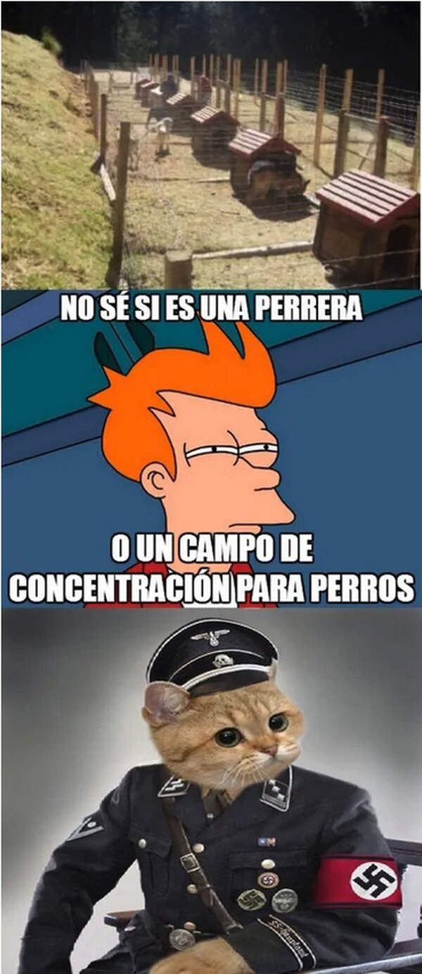 Meme_otros - Seguramente lo controle alguien así