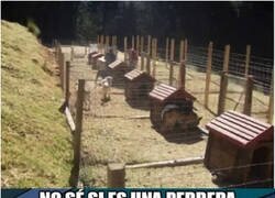 Enlace a Seguramente lo controle alguien así