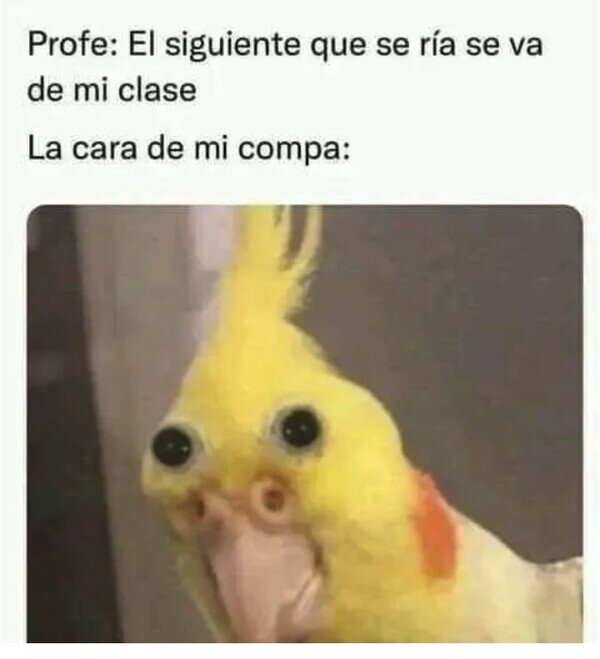 Meme_otros - Imposible no ser expulsado